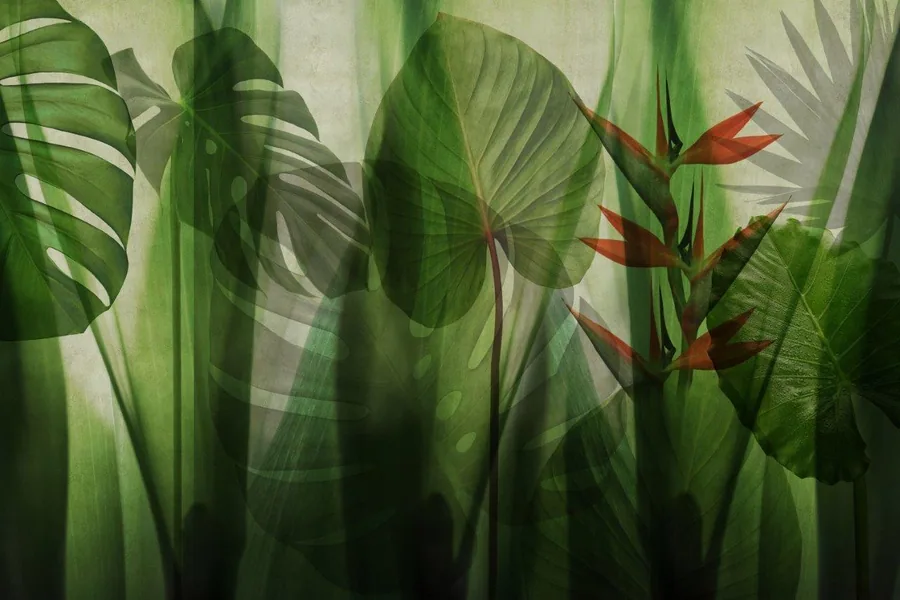 Layered tropical leaves with red bird-of-paradise flowers and dramatic shadows on soft background
