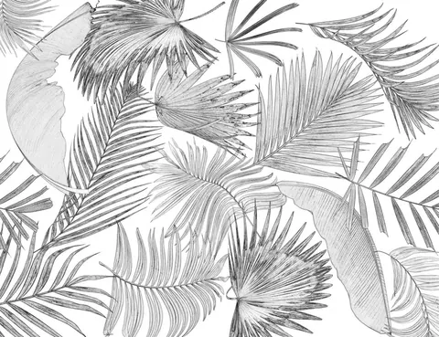 Black and white line drawing of overlapping palm fronds and fan-shaped leaves in a repeating botanical pattern