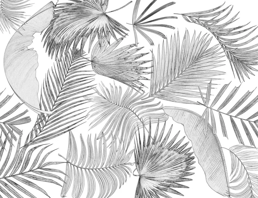 Black and white line drawing of overlapping palm fronds and fan-shaped leaves in a repeating botanical pattern