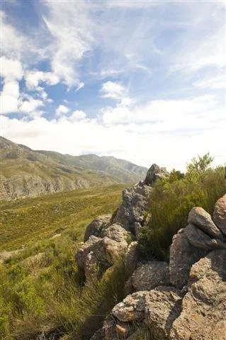 Rocky mountain ridge overlooking a green valley with distant peaks under blue sky with white clouds.