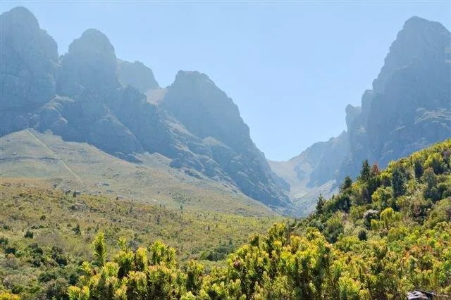 Majestic mountain range with forested valley and alpine meadows under clear blue sky