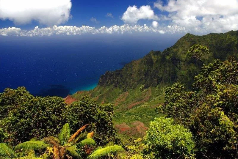 Aerial view of verdant cliffs overlooking turquoise ocean waters with white clouds and blue sky