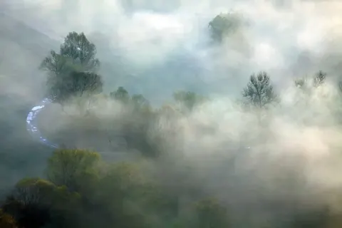 Ethereal misty valley with silhouetted trees and a winding blue river visible through dense fog.