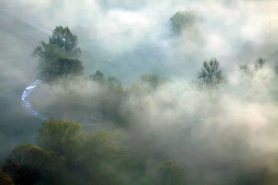 Ethereal misty valley with silhouetted trees and a winding blue river visible through dense fog.