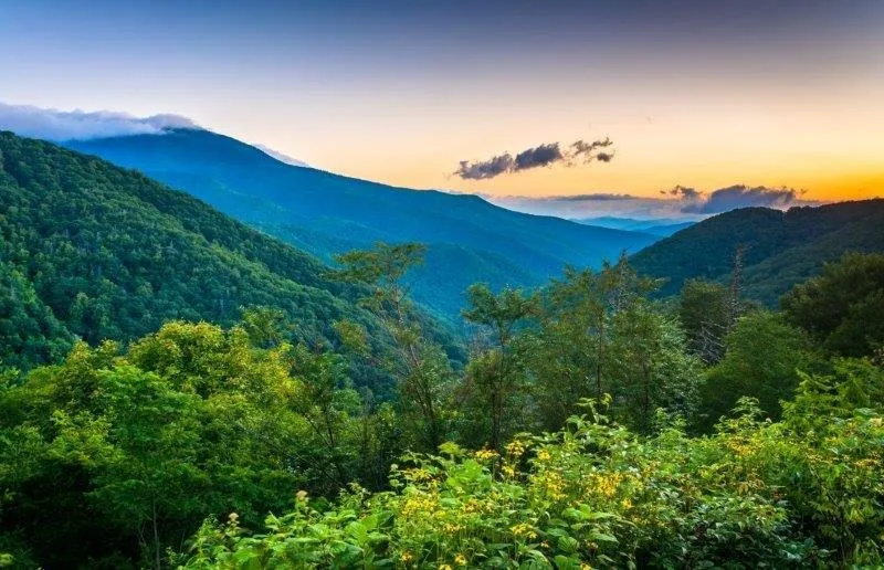 Misty mountain valley at sunset with layered green hills and golden sky