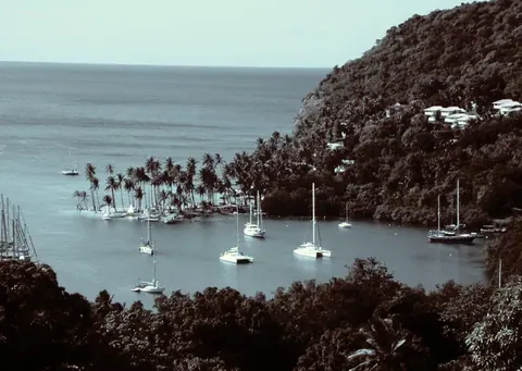 Sailboats anchored in a tropical bay with palm trees and verdant cliff landscape.