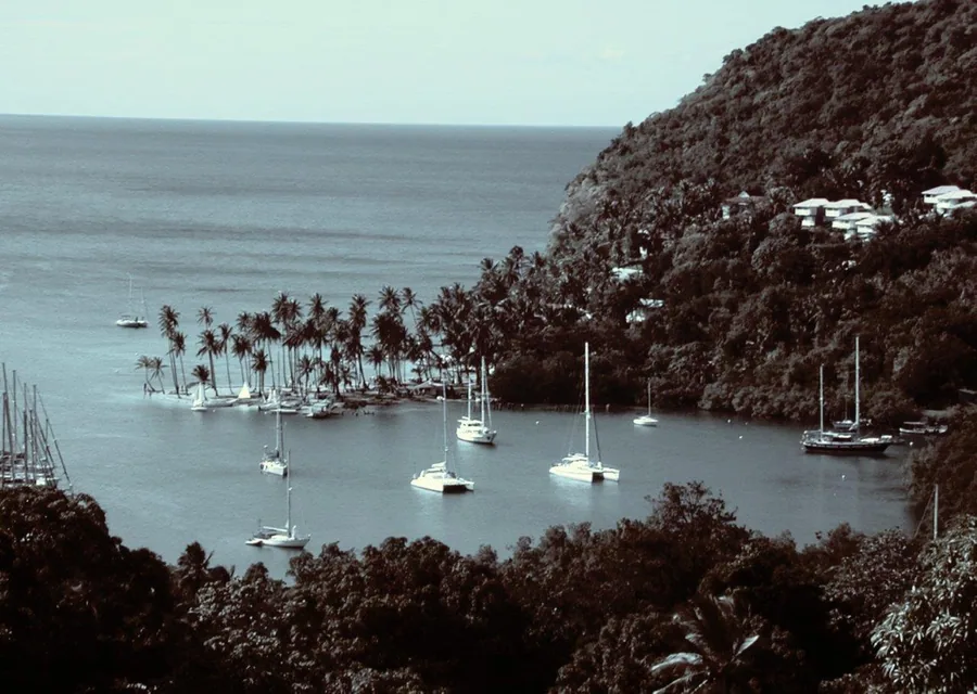 Sailboats anchored in a tropical bay with palm trees and verdant cliff landscape.