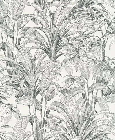 Line drawing of corn stalks with detailed hatched leaves in black ink on cream background