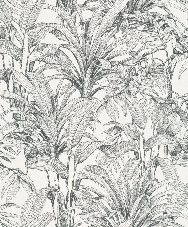 Line drawing of corn stalks with detailed hatched leaves in black ink on cream background