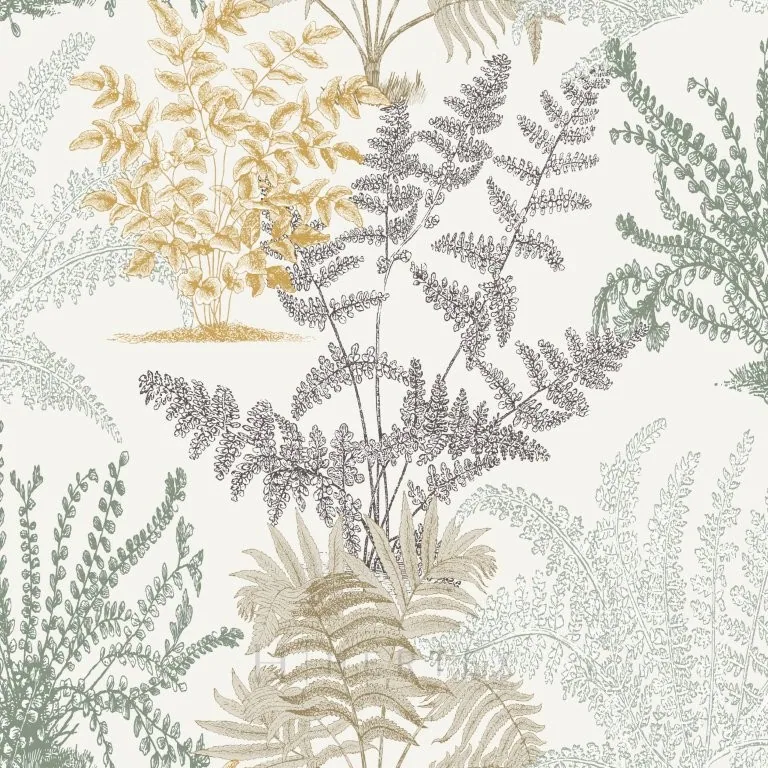 Hand-drawn botanical illustrations of various ferns and flowering plants in naturalistic arrangement