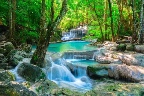 Cascading waterfall with turquoise pools surrounded by dense green forest and ancient trees.