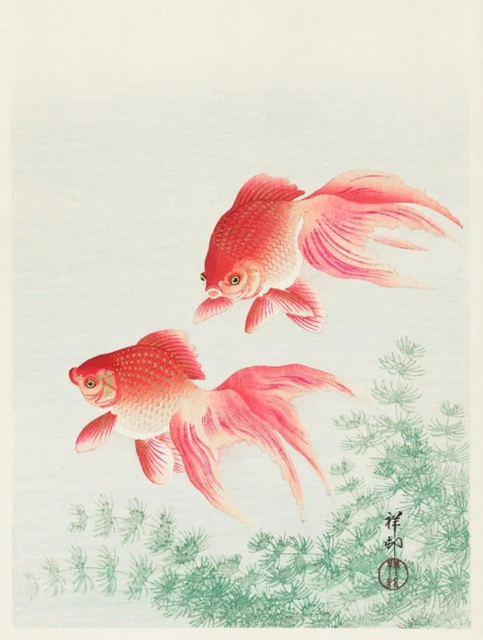 Two red and pink koi fish with flowing fins swimming above green aquatic plants in watercolor style.