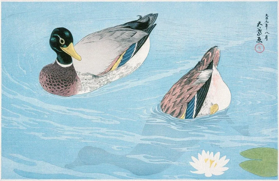 Two ducks swimming among water lilies on rippled blue water in traditional Japanese art style