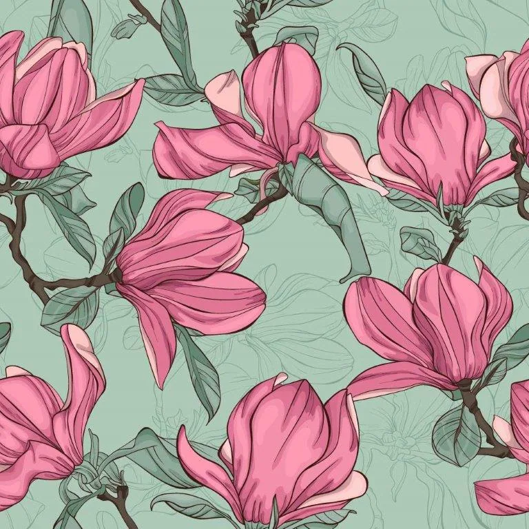 Pink magnolia flowers with detailed petals on sage green background, botanical line art pattern