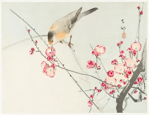 A bird resting on cherry blossom branches with pink flowers in watercolor style against a cream background.