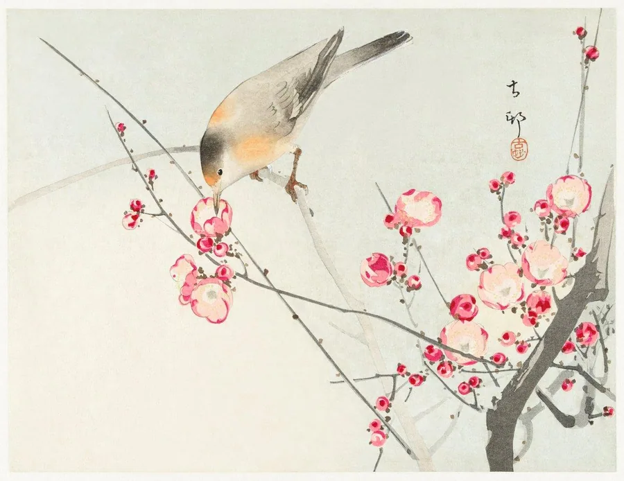 A bird resting on cherry blossom branches with pink flowers in watercolor style against a cream background.