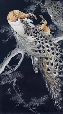 Detailed illustration of a golden peacock with ornate tail feathers and black eye spots on dark background.