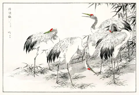 Traditional ink drawing of red-crowned cranes among bamboo plants with Asian calligraphy