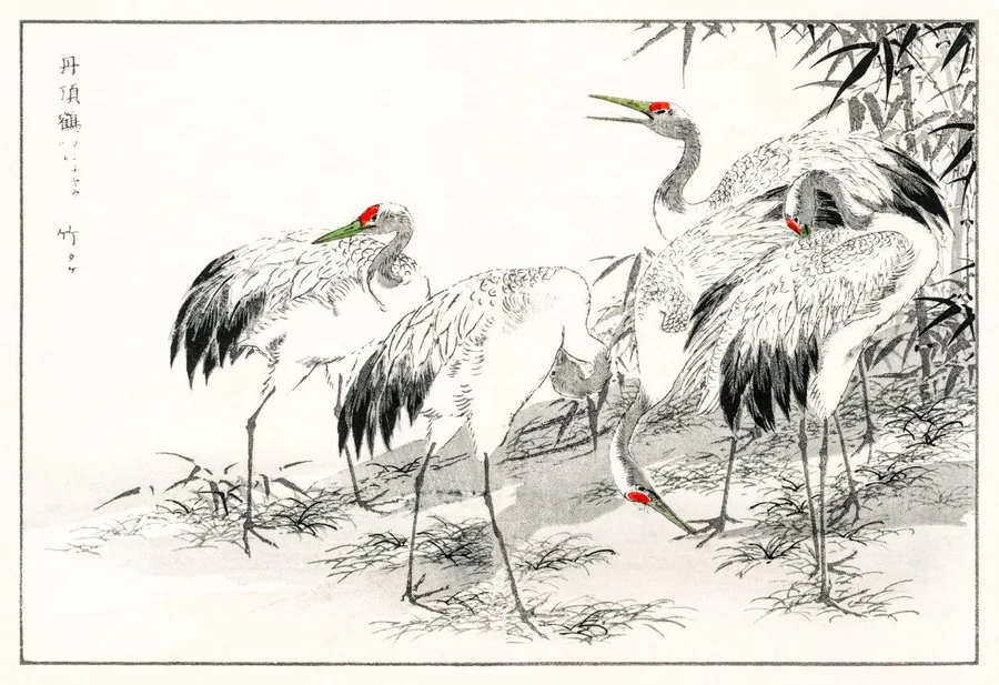 Traditional ink drawing of red-crowned cranes among bamboo plants with Asian calligraphy