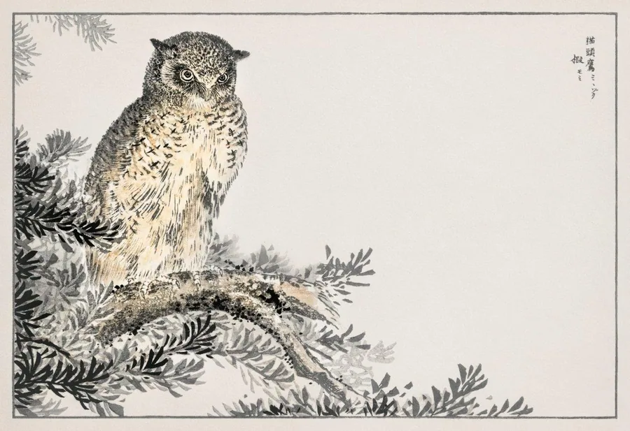 Detailed ink-style illustration of an owl sitting on a gnarled branch with pine needles in black and cream tones.