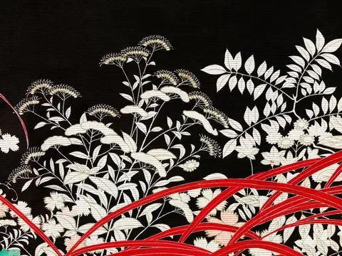 White botanical illustration with small clustered flowers and compound leaves on black background, red curved lines crossing through design
