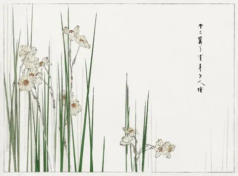 Watercolor illustration of white and cream irises with green stems on pale background