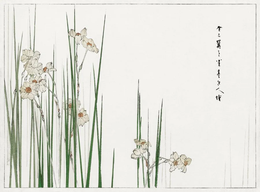 Watercolor illustration of white and cream irises with green stems on pale background
