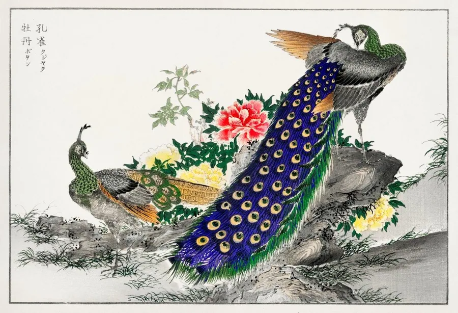 Hand-painted Oriental illustration of peacocks with ornate blue plumage among red and yellow flowers.
