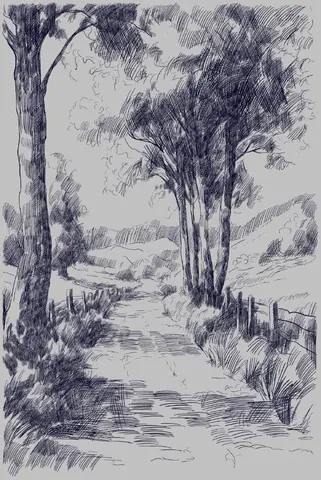 Ink sketch of a tree-lined rural lane with tall trees framing a distant path.