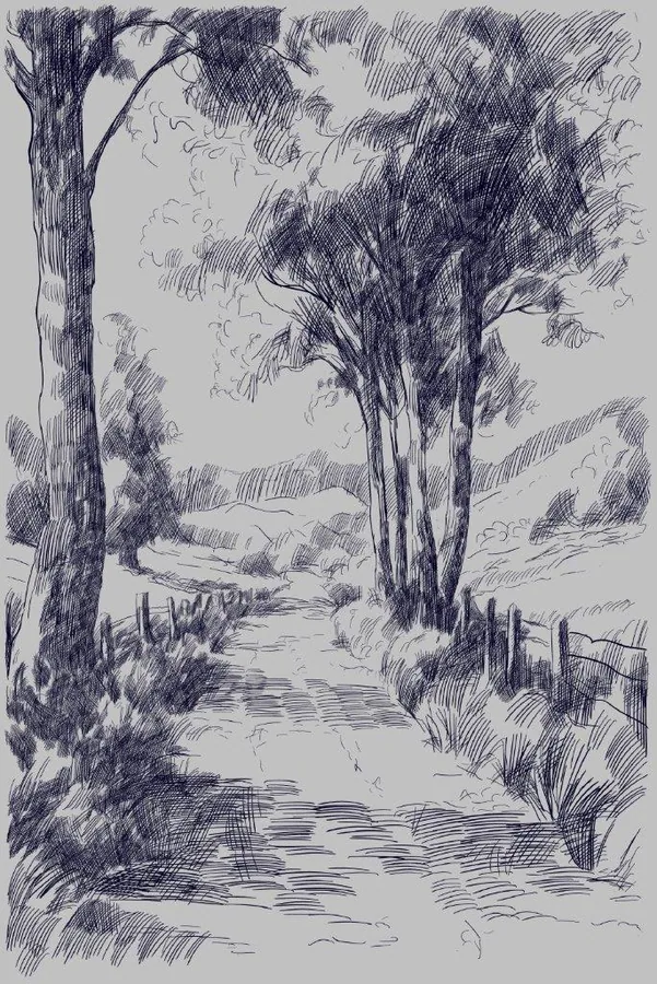 Ink sketch of a tree-lined rural lane with tall trees framing a distant path.