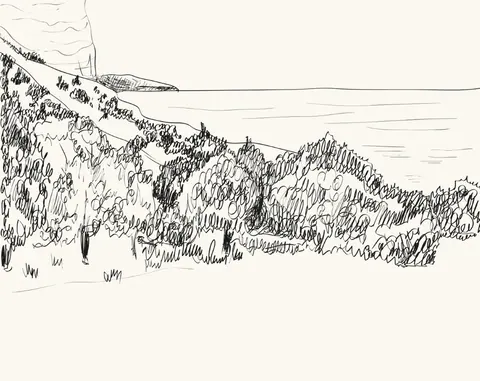 Pen sketch of layered forested hillside with coniferous trees and distant misty horizon