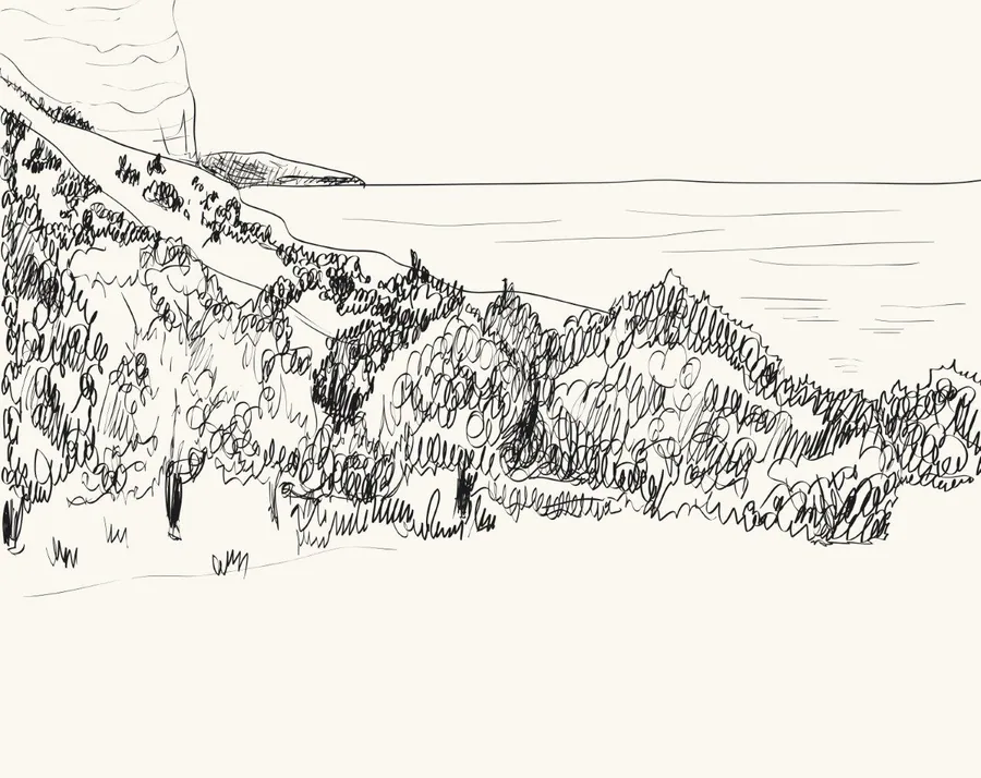 Pen sketch of layered forested hillside with coniferous trees and distant misty horizon
