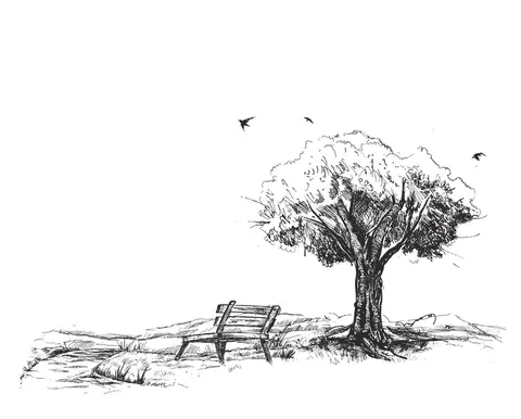 Pen sketch of empty wooden bench under a large tree with birds flying overhead in a peaceful landscape.