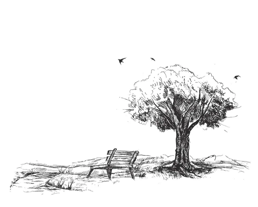 Pen sketch of empty wooden bench under a large tree with birds flying overhead in a peaceful landscape.