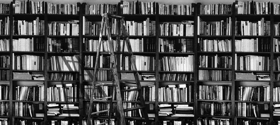 Black and white repeating pattern of tall bookshelves with a wooden library ladder against dark shelving.