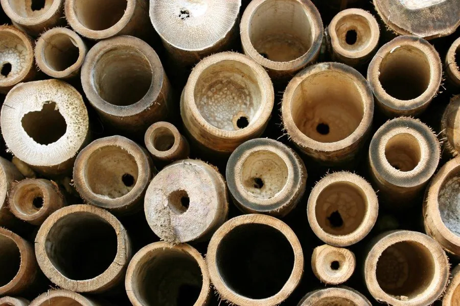 Overhead view of stacked bamboo tubes with hollow centers showing natural wood grain and texture