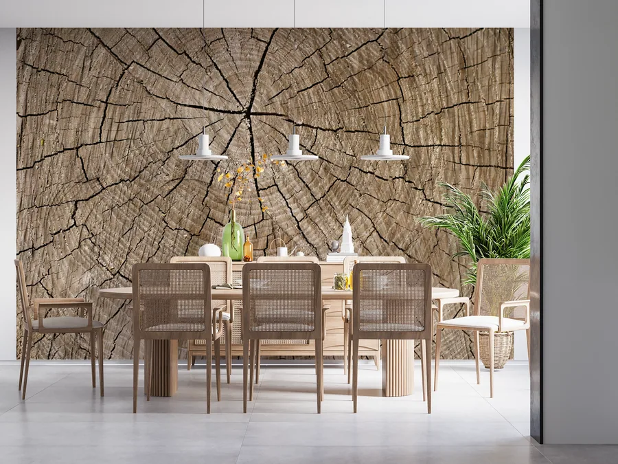 Close-up wood tree ring texture with radial grain patterns and natural cracks on a mural wall behind dining furniture.