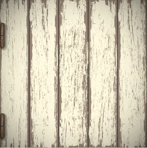 Vertical whitewashed wooden planks with natural grain and weathered texture.