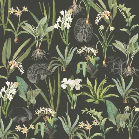 Iris Serenity II wallpaper design