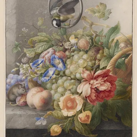 Garden Harvest Still Life wallpaper design