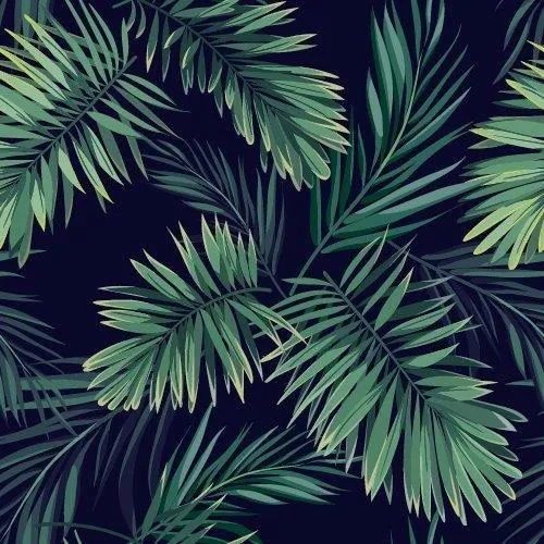 Midnight Palms wallpaper design