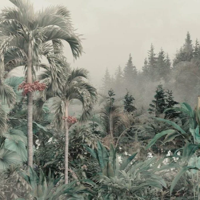 Misty Canopy wallpaper design