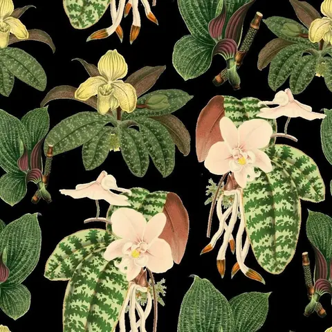 Orchid Study wallpaper design