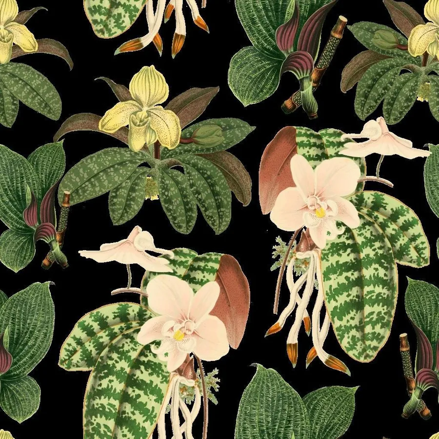 Orchid Study wallpaper design