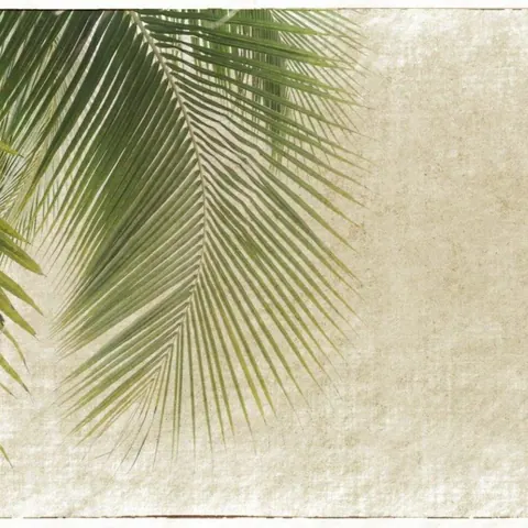 Palm Serenity wallpaper design