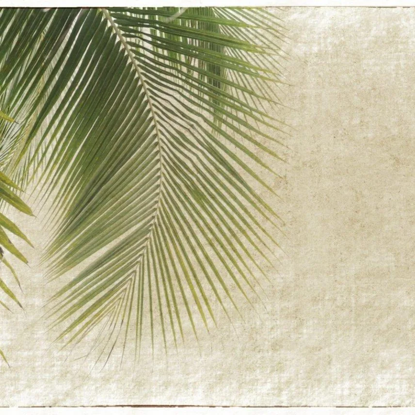 Palm Serenity wallpaper design