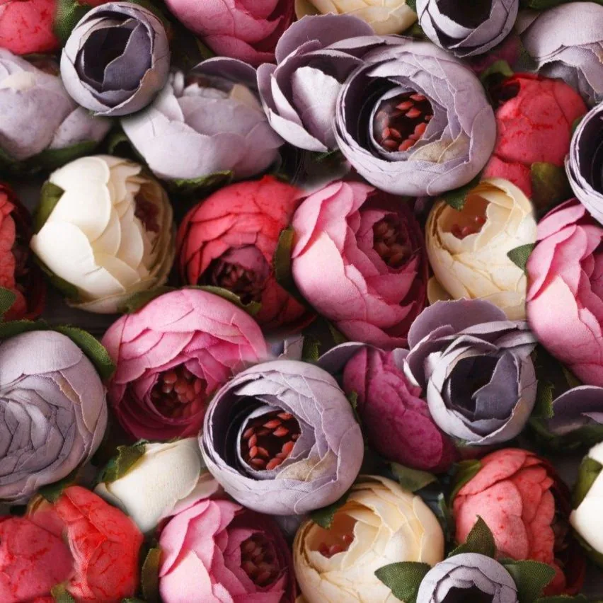 Peony Garden wallpaper design