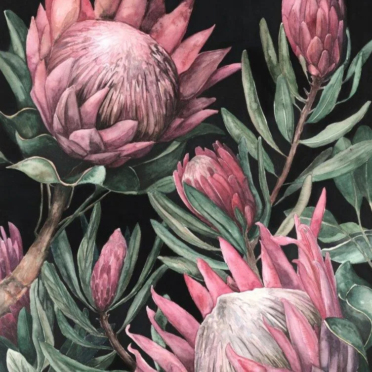 Protea Midnight wallpaper design