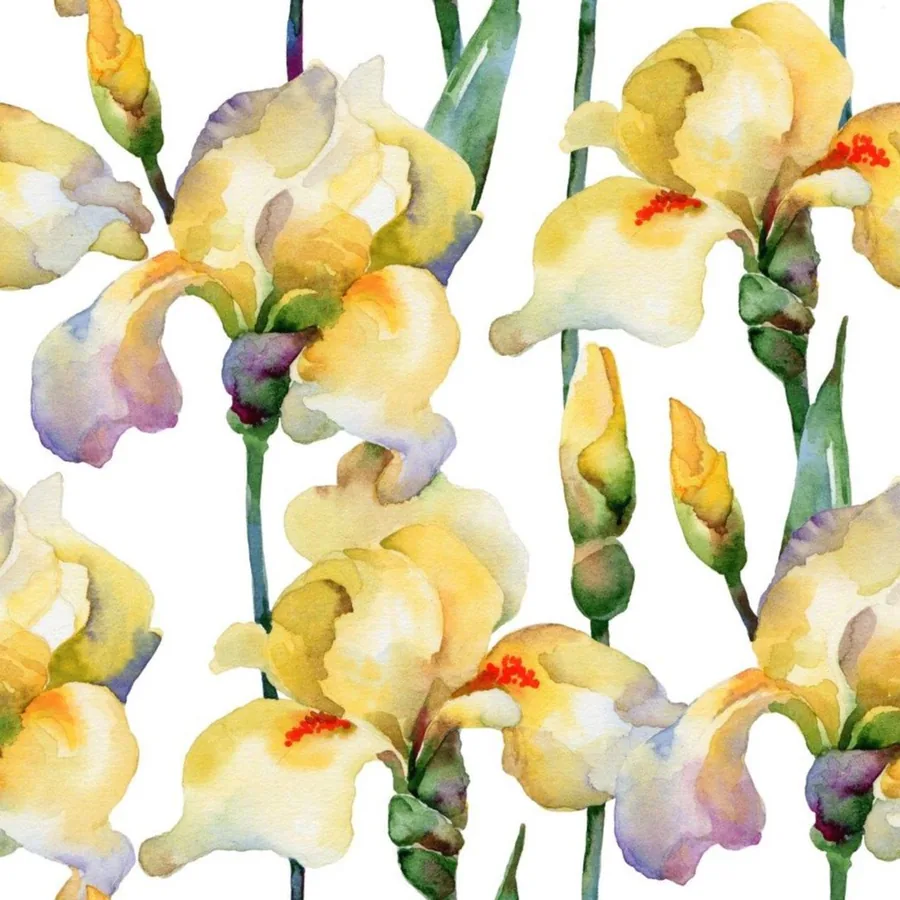 Sunlit Irises wallpaper design