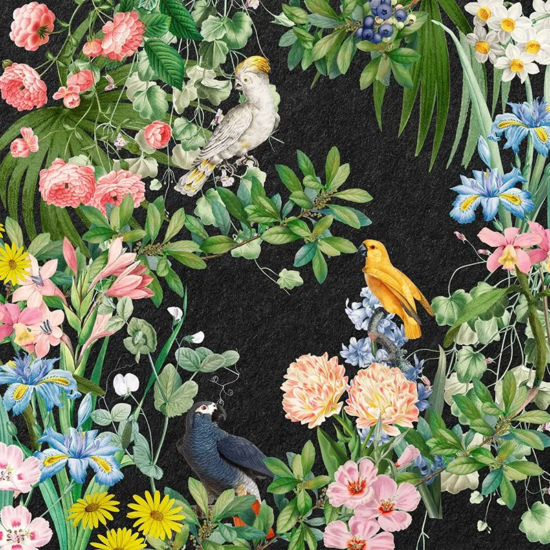Symphony of Wings and Petals wallpaper design